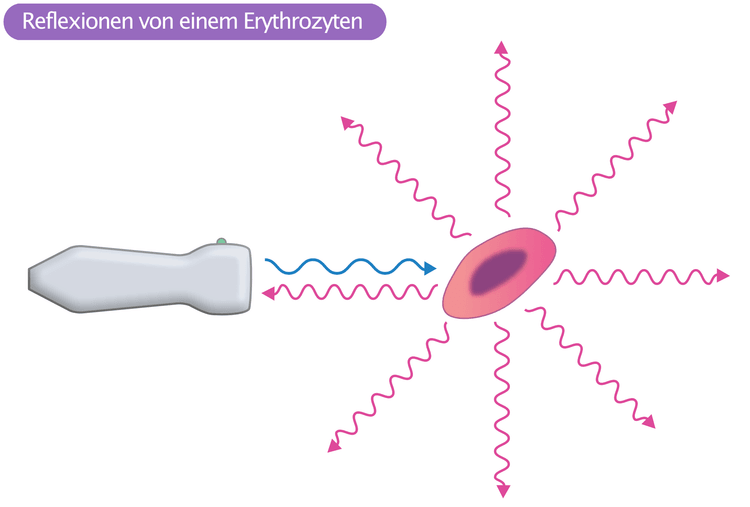 Abbildung 2. Reflexionen von einem Erythrozyten.