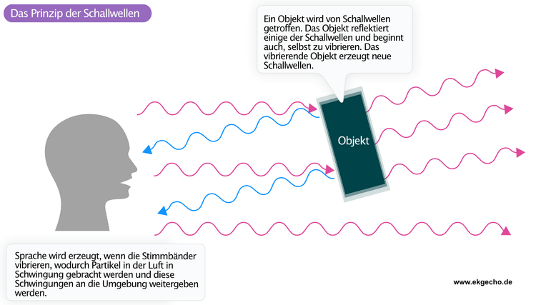Abbildung 1. Das Prinzip, wie Schallwellen erzeugt, verbreitet und reflektiert werden: Rote Wellen stellen Schallwellen dar, die erzeugt werden, wenn die Stimmbänder vibrieren. Blaue Wellen stellen Schallwellen dar, die vom Objekt reflektiert werden.