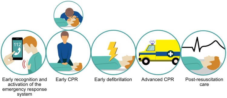 Die Überlebenskette beim außerklinischen Herzstillstand: Kompressionen, Beatmung und Defibrillation.