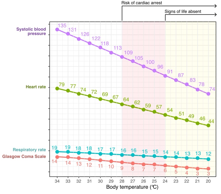 Erwartete kardiopulmonale Funktion und Vigilanz bei sinkender Körpertemperatur nach HOPE (Hypothermia Outcome Prediction after Extracorporea