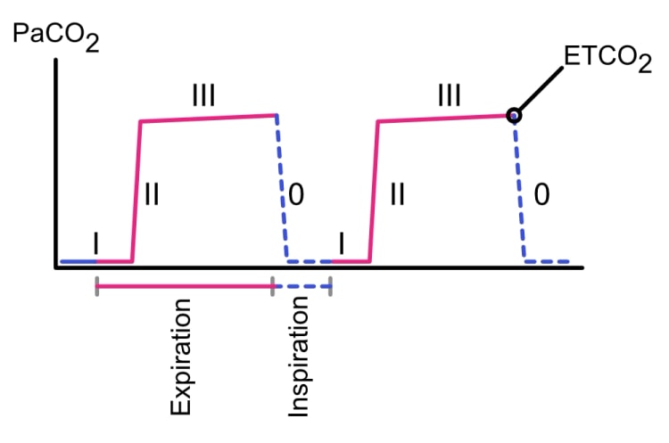 Normales Kapnogramm mit den Phasen 0, I, II und III