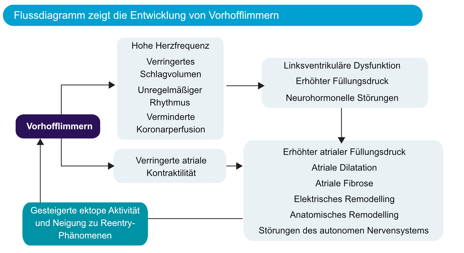 Abbildung 5. Das Flussdiagramm zeigt die Entwicklung von Vorhofflimmern und dieses wiederum eine anhaltende Flimmeraktivität fördert.