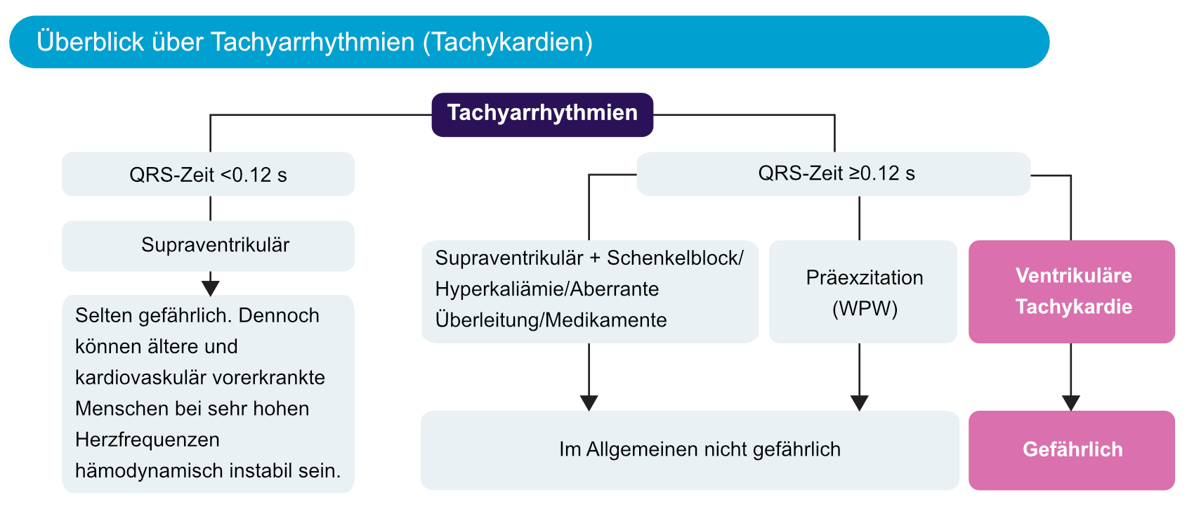 Abbildung 1. Überblick über Tachyarrhythmien (Tachykardien).