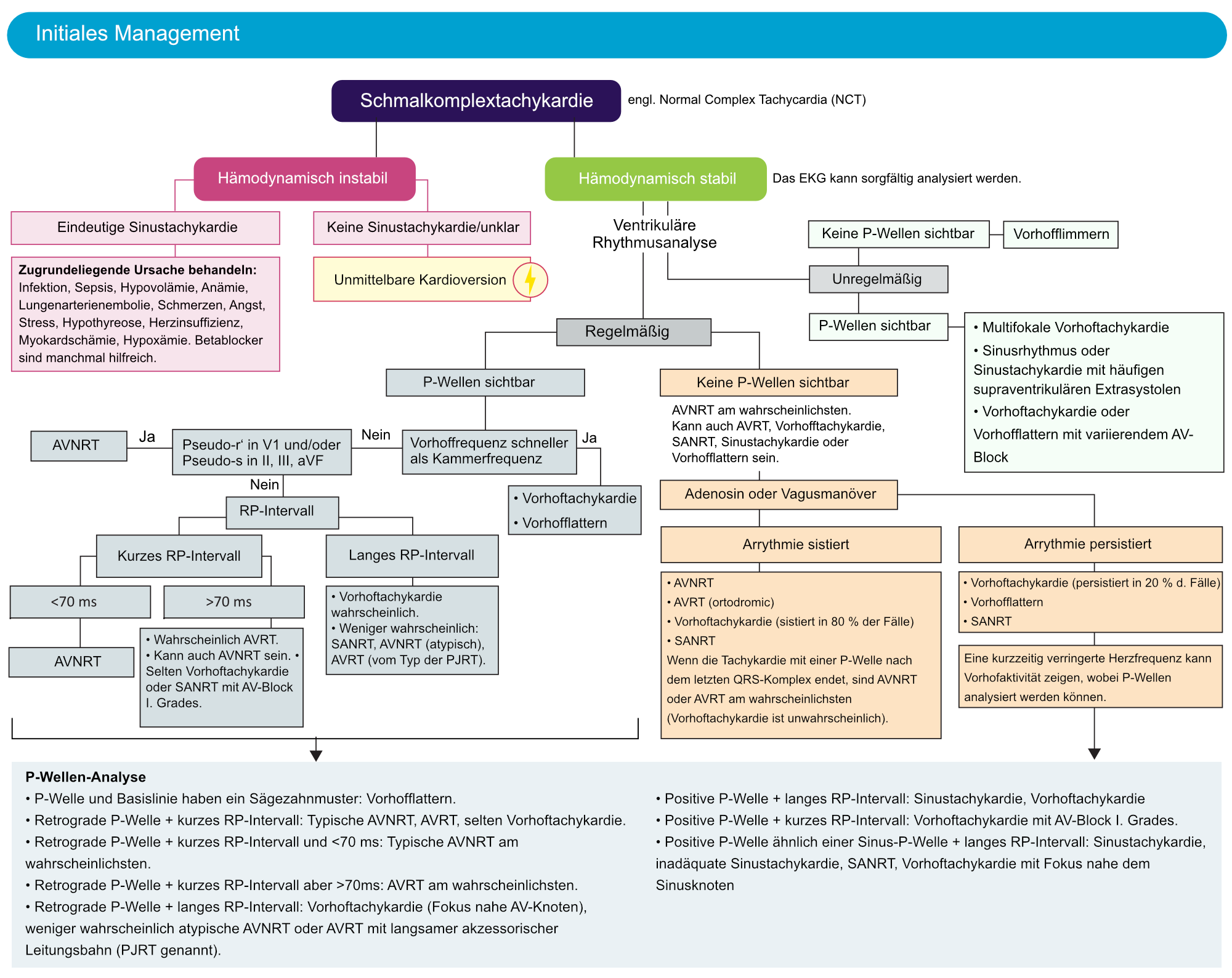 Abbildung 4. Management und Diagnose von Schmalkomplextachykardien.
