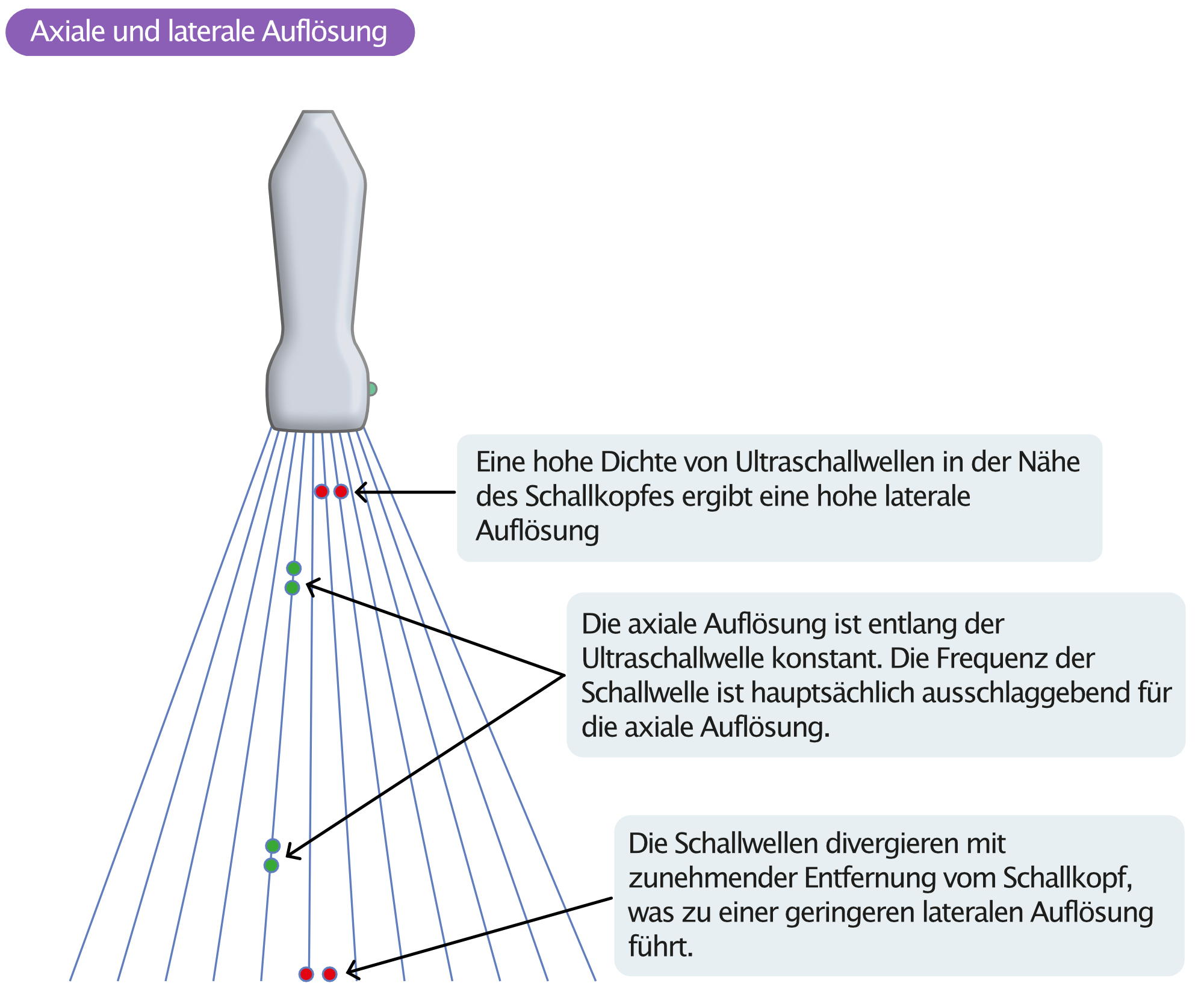 Abbildung 5. Axiale und laterale Auflösung des Ultraschallbildes.