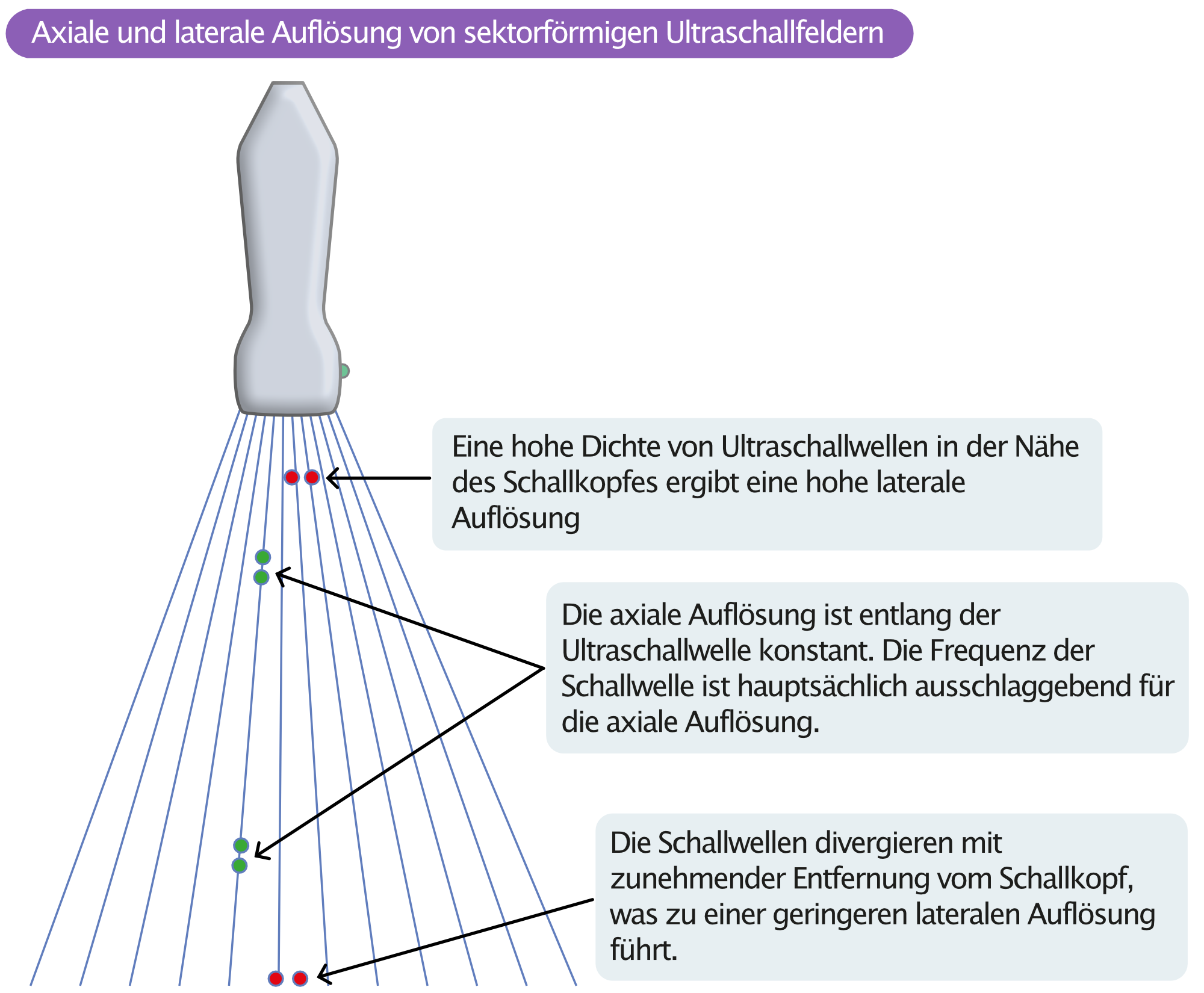 Abbildung 3. Axiale und laterale Auflösung des Ultraschallbildes. Die axiale Auflösung ist entlang der Ultraschalllinien konstant. Die laterale Auflösung hängt von der Liniendichte ab, die mit zunehmender Entfernung zum Schallkopf abnimmt.
