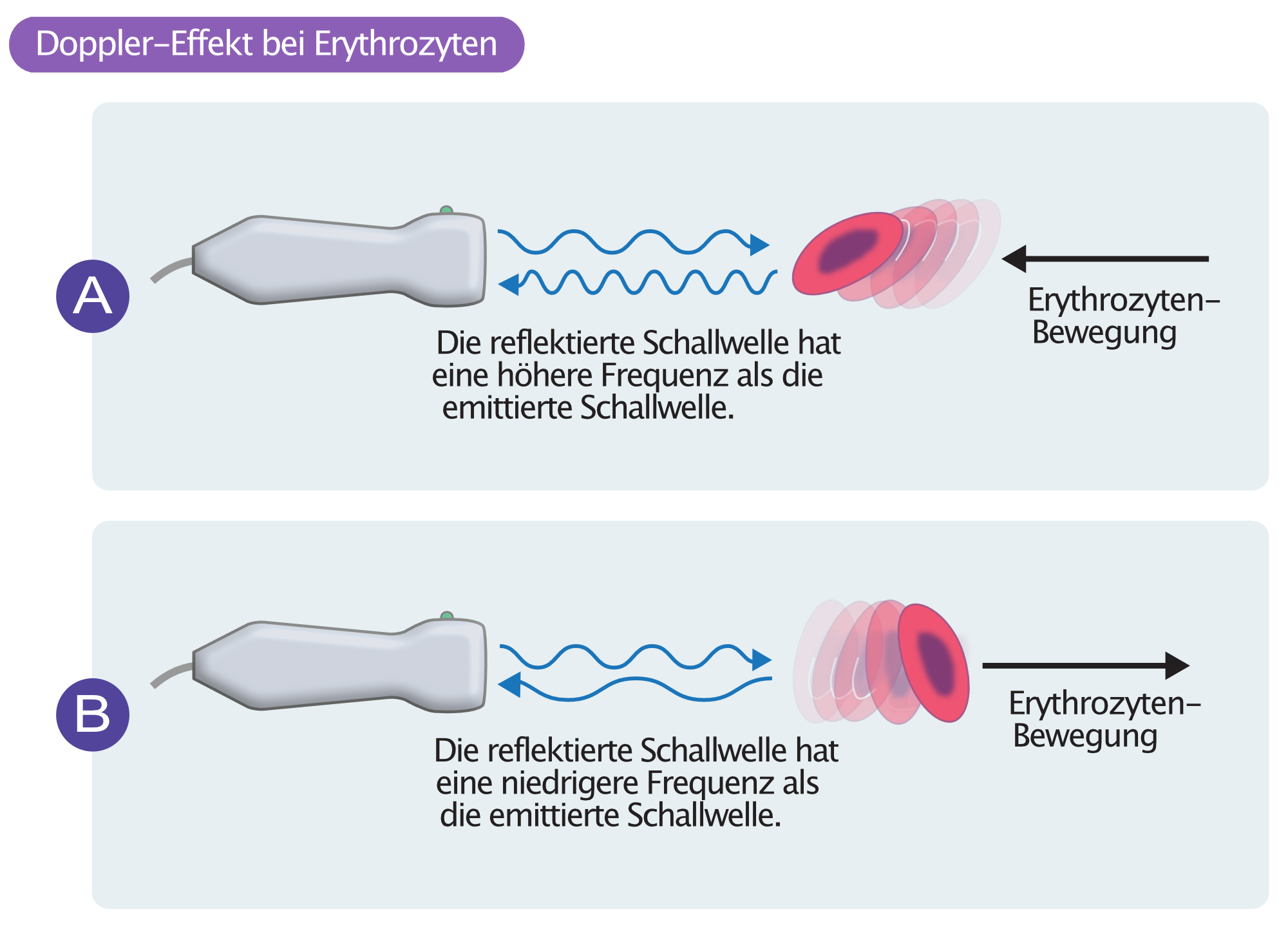 Abbildung 3. Doppler-Effekt bei Erythrozyten.