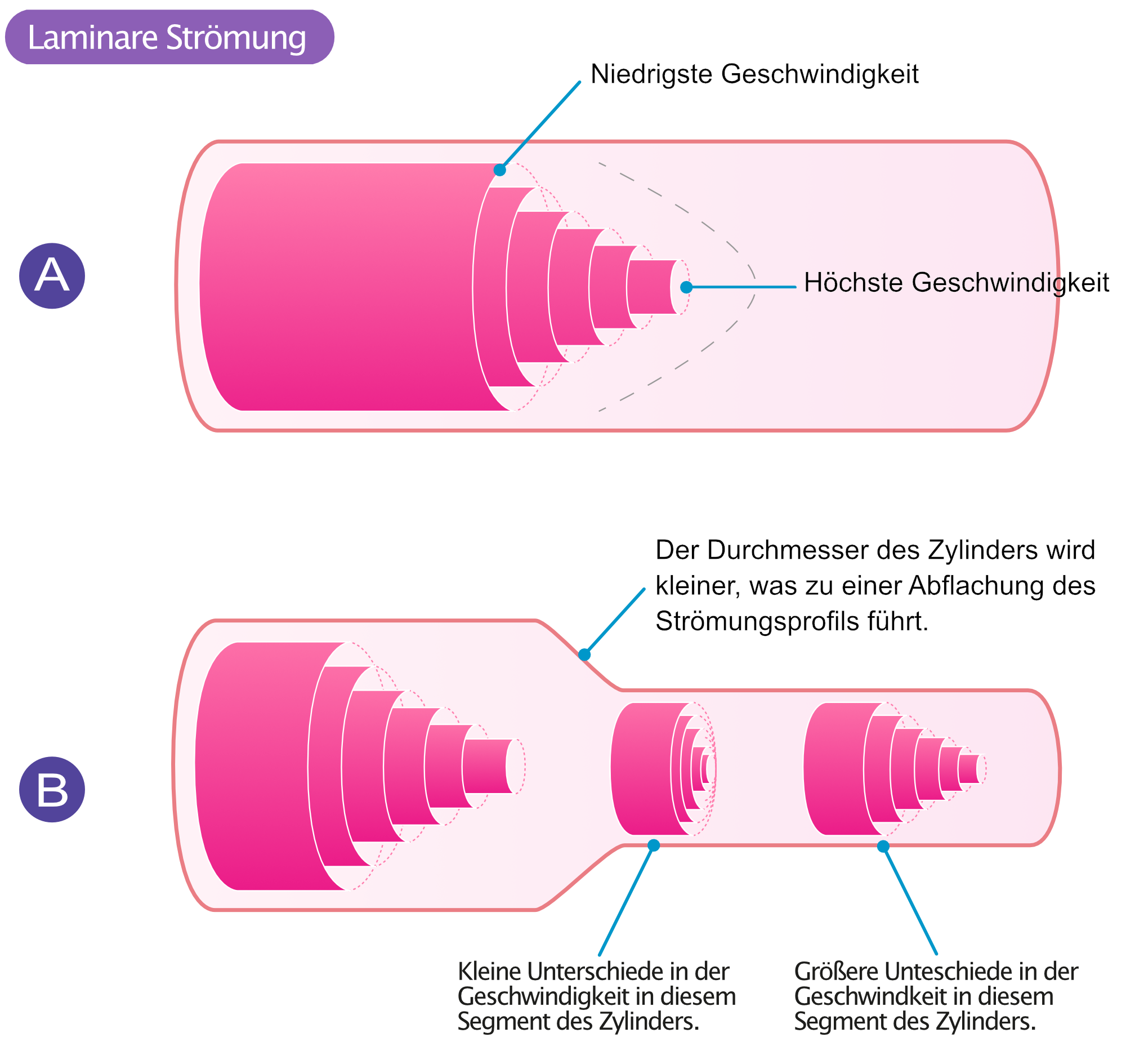 Abbildung 2. Die laminare Strömung in einem Zylinder führt zu einem parabolischen Strömungsprofil mit der höchsten Geschwindigkeit in der Mitte und der niedrigsten Geschwindigkeit an der Wand des Zylinders.