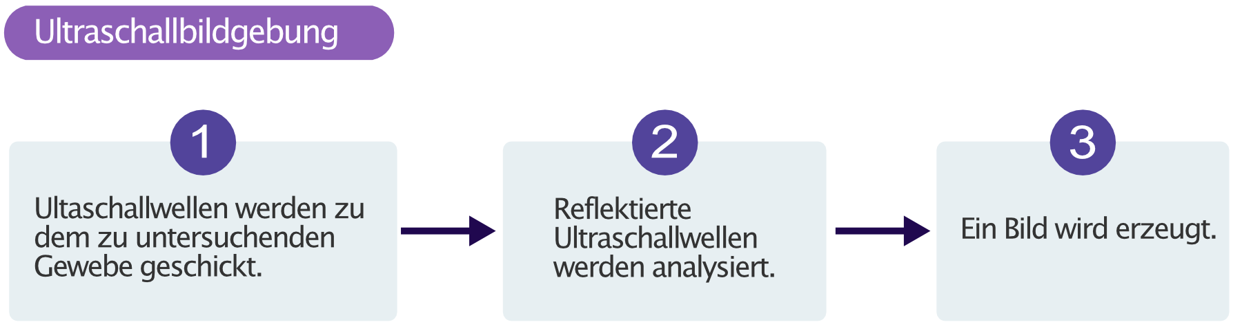 Abbildung 1. Das Prinzip der Ultraschallbildgebung und Echokardiographie.