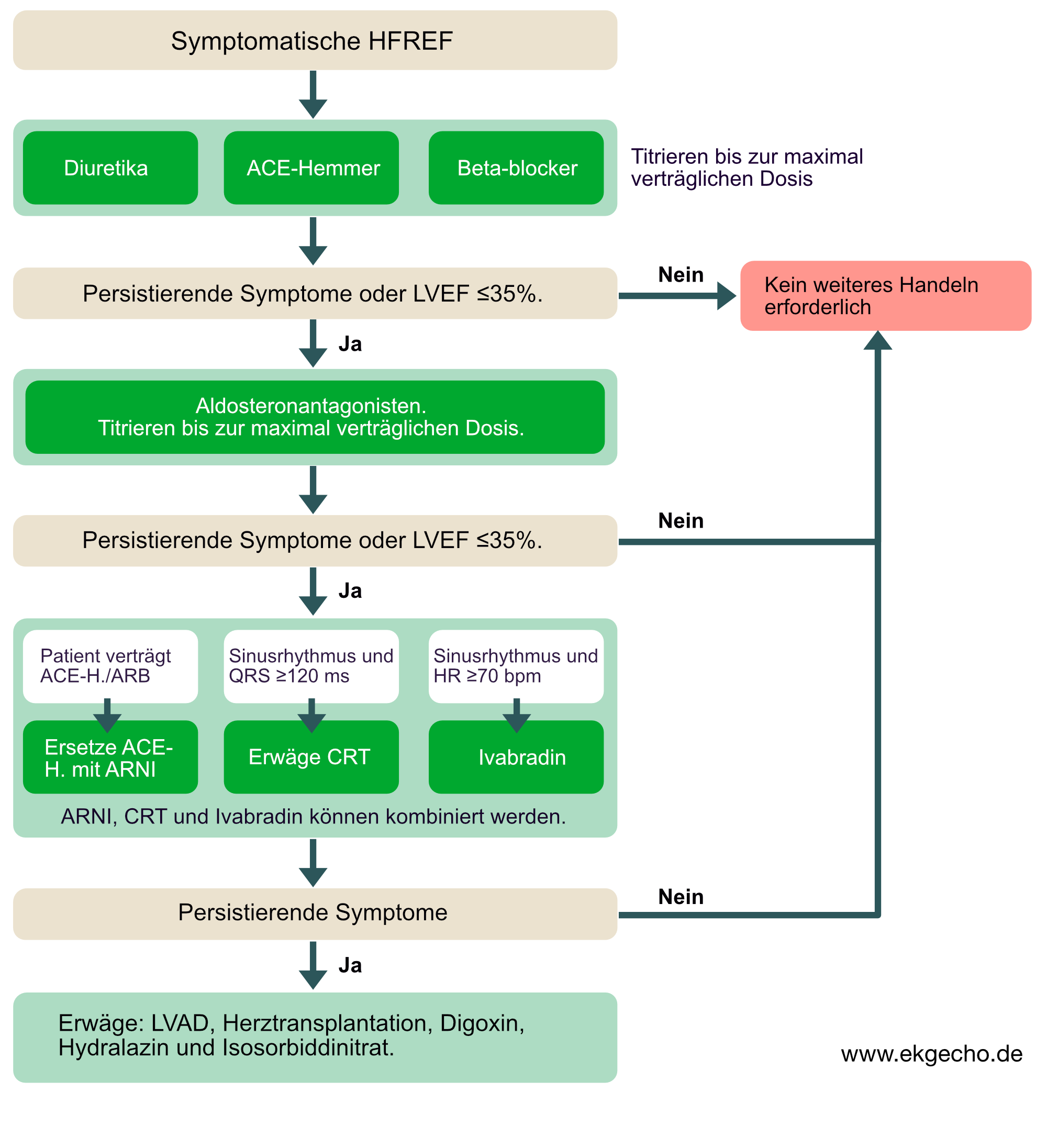 Abbildung 3. Algorithmus zur Behandlung der Herzinsuffizienz mit reduzierter Ejektionsfraktion. Angepasst von Ponikowski et al (ESC Guidelines, 2019).