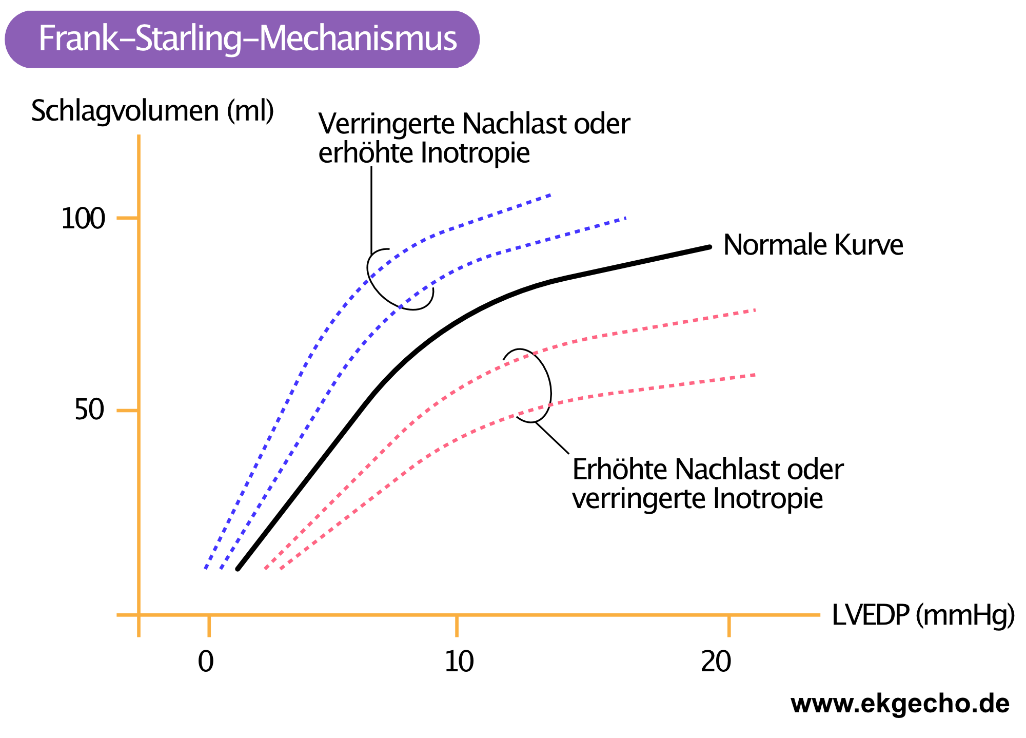 Abbildung 3. Frank-Starling-Mechanismus.
