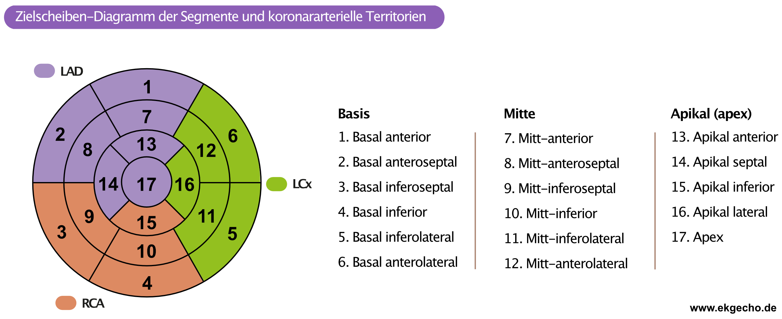 Abbildung 2. Zielscheiben-Diagramm der 17 Myokardsegmente und die empfohlene Nomenklatur für die tomographische Bildgebung des Herzens.