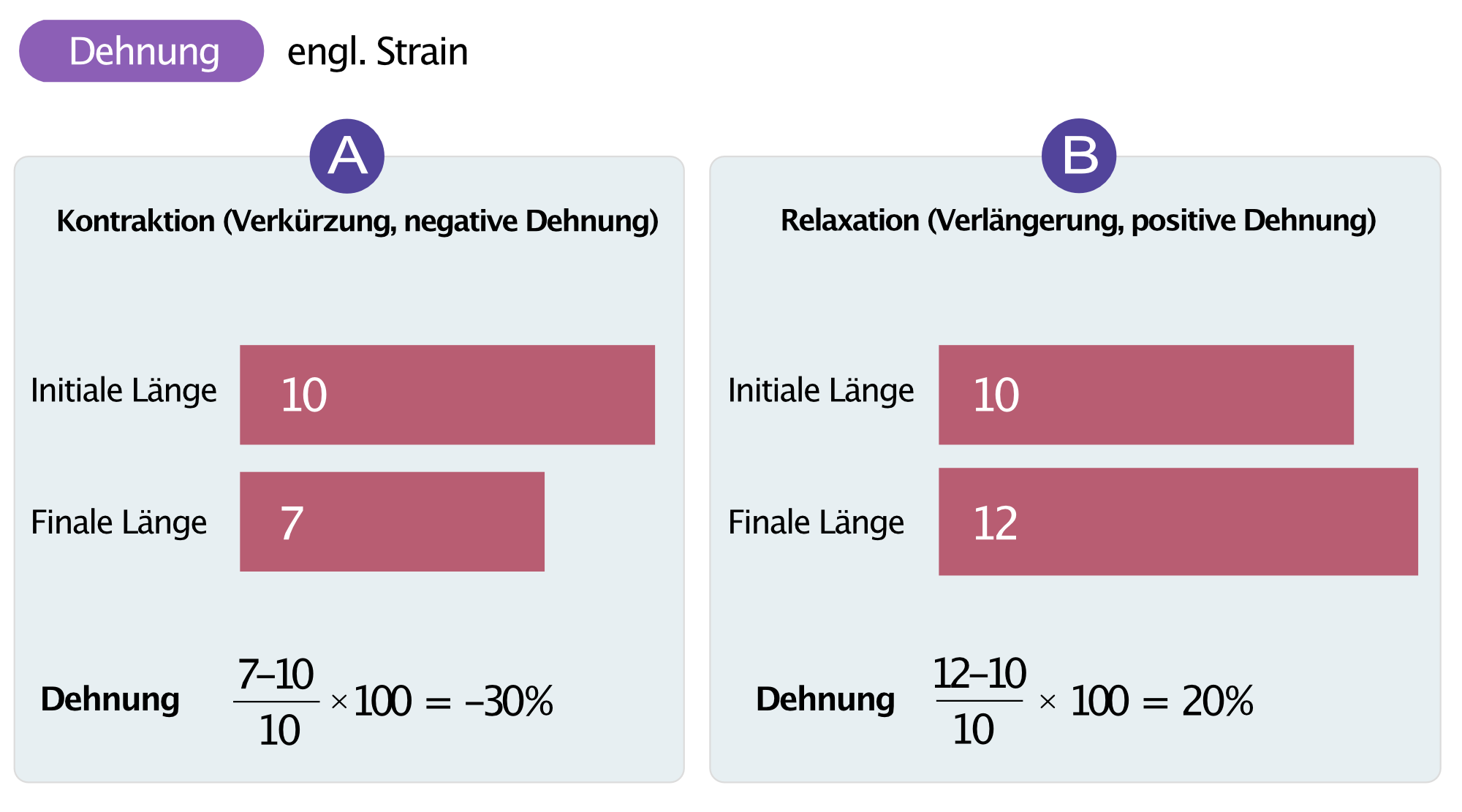 Abbildung 3. Dehnung (engl. strain).