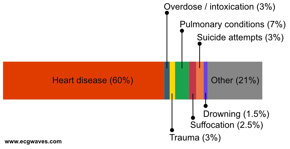 Balkendiagramm aus dem Schwedischen Reanimationsregister mit den vermuteten Ursachen von rund 130 000 außerklinischen Herzstillständen