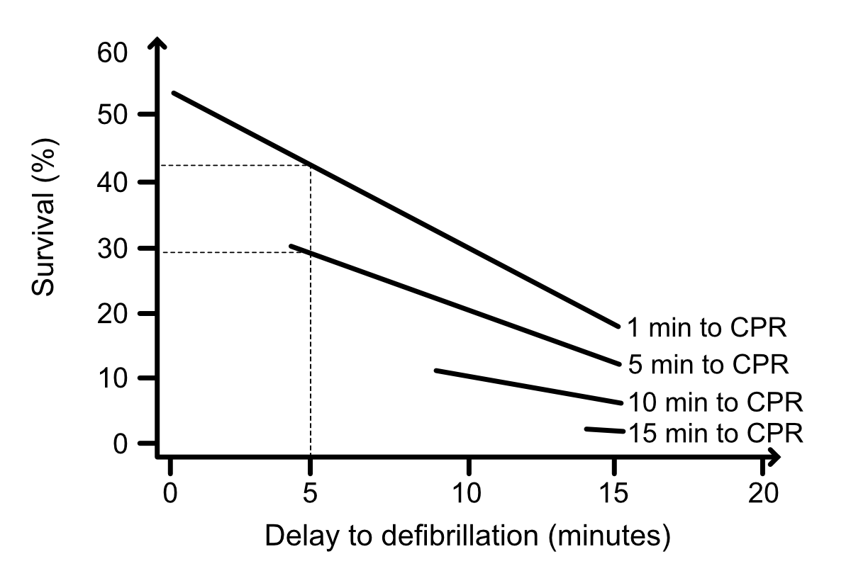 Diagramm zum Überleben nach Defibrillation in Abhängigkeit von der Zeit bis zum Beginn der Reanimation.
