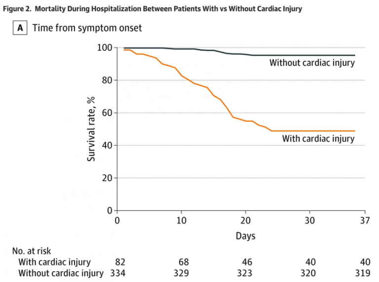 Cardiovascular effects of COVID-19 (Coronavirus Disease 2019 ...