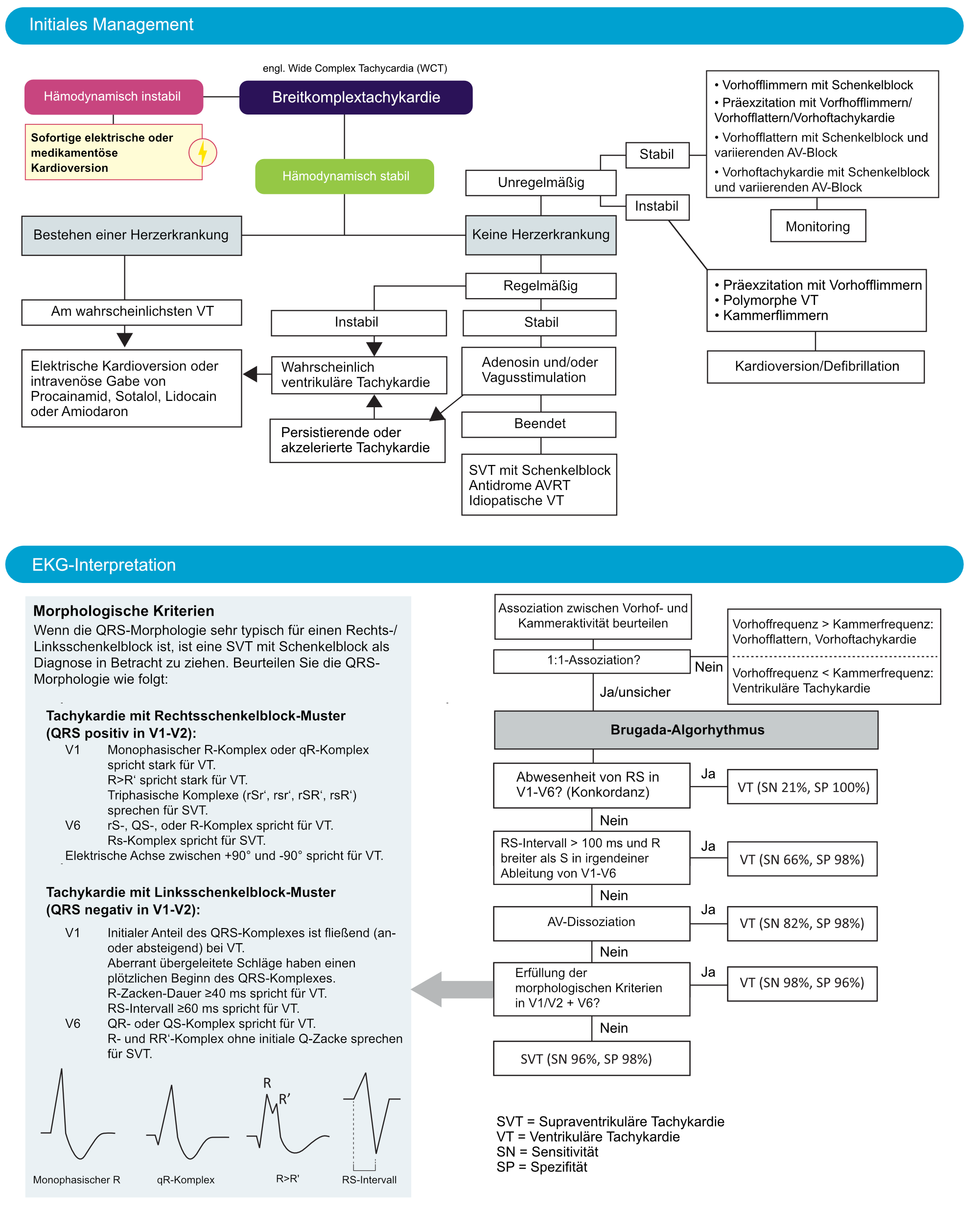 diagnose-und-management-von-tachyarrhythmien-breitkomplextachykardien