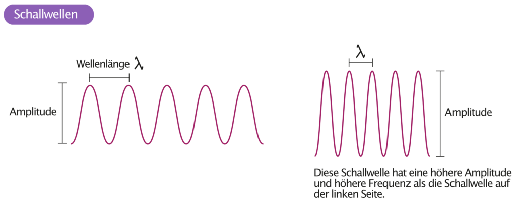 Physik des Ultraschalls – EKG & ECHO